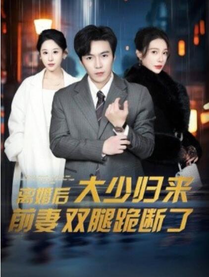 短剧《离婚后，大少归来前妻双腿跪断了（1-67集）》全集夸克网盘免费在线观看-aoooo