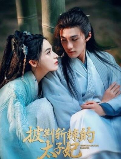 短剧《披荆斩棘的太子妃（80集全）杨鹏丞＆沈芝弈》夸克网盘免费在线观看-aoooo