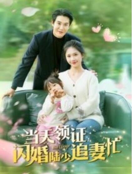短剧《当天领证闪婚陆少追妻忙（1-80集）》全集夸克网盘免费在线观看-aoooo