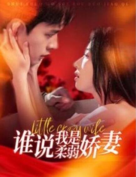 短剧《谁说我是柔弱娇妻（99集全）乔佳乐&张启璇》夸克网盘免费在线观看-aoooo