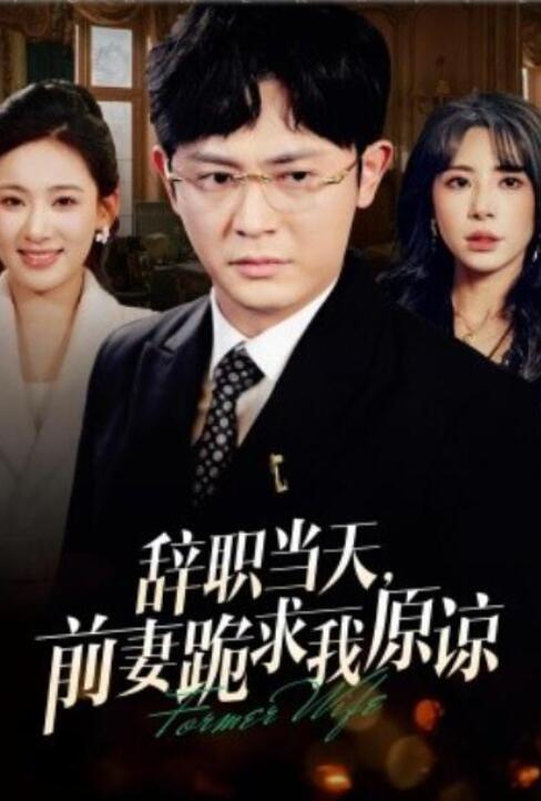 短剧《辞职当天，前妻哭着求我原谅（1-23集）》全集夸克网盘免费在线观看-aoooo