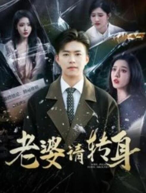短剧《老婆请转身（1-82集）》全集夸克网盘免费在线观看-aoooo