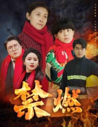 短剧《禁燃（1-30集）》全集夸克网盘免费在线观看-aoooo