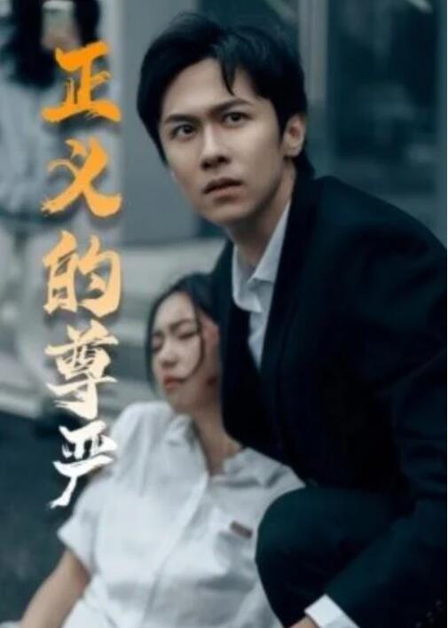 短剧《正义的尊严（1-35集）》全集夸克网盘免费在线观看-aoooo