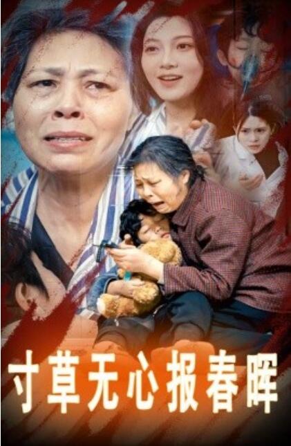 短剧《寸草无心报春晖（孝子慈孙）31集全》夸克网盘免费在线观看-aoooo