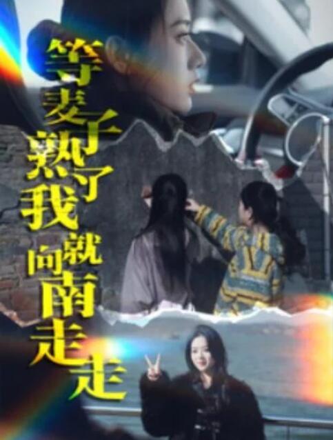 短剧《等麦子熟了我就向南走走（1-41集）》全集夸克网盘免费在线观看-aoooo