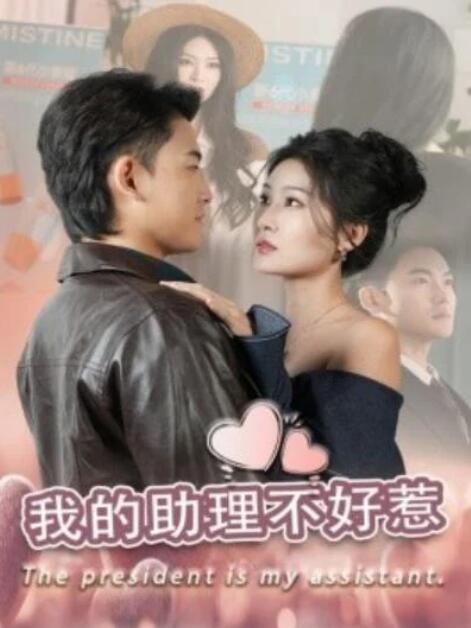 短剧《我的助理不好惹（30集全）丁博洋》夸克网盘免费在线观看-aoooo