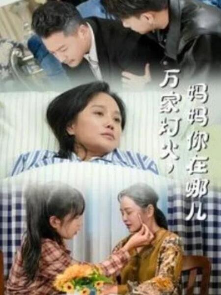 短剧《万家灯火，妈妈你在哪儿（1-53集）》全集夸克网盘免费在线观看-aoooo
