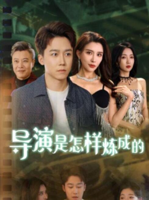 短剧《导演是怎样炼成的（1-70集）》全集夸克网盘免费在线观看-aoooo