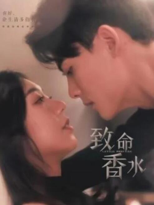 短剧《致命香水（80集全）陈刚＆王韵涵》夸克网盘免费在线观看-aoooo
