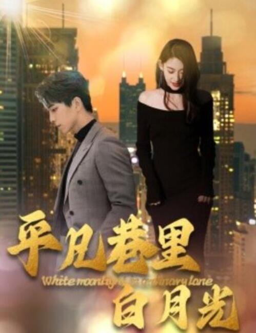 短剧《平凡巷里白月光（1-33集）》全集夸克网盘免费在线观看-aoooo