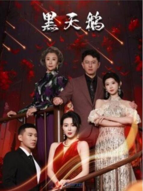 短剧《黑天鹅（51集全）孔莹莹》夸克网盘免费在线观看-aoooo