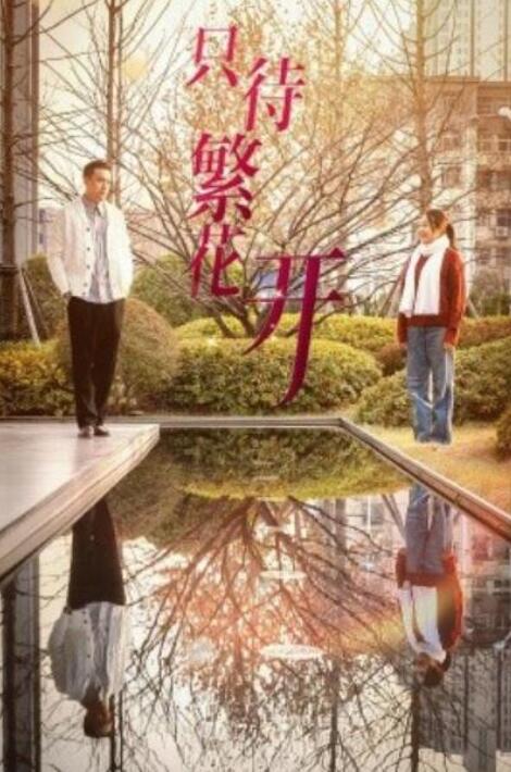 短剧《只待繁花开（1-35集）》全集夸克网盘免费在线观看-aoooo