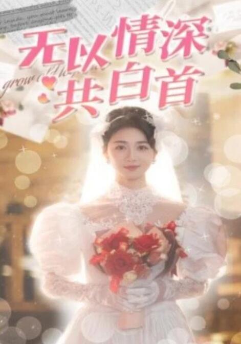 短剧《无以情深共白首（35集全）黄波&陈孟莎》夸克网盘免费在线观看-aoooo