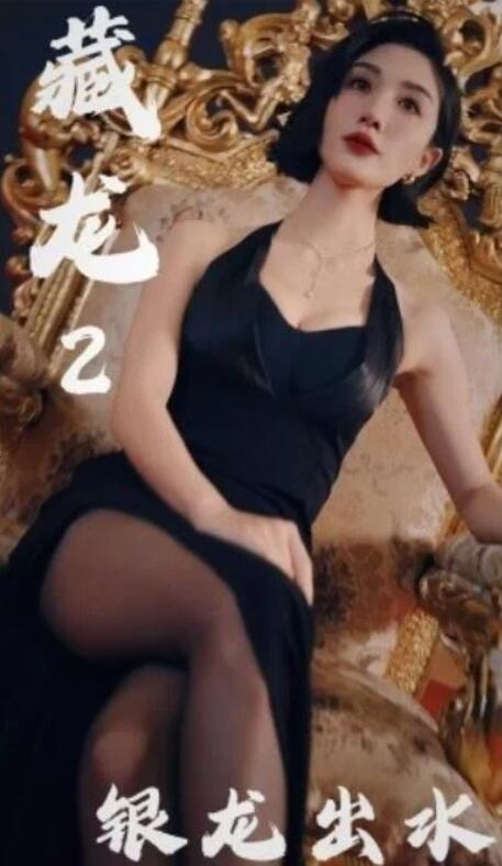 短剧《藏龙2银龙出水（1-35集）》全集夸克网盘免费在线观看-aoooo