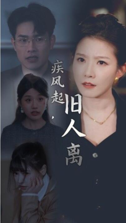 短剧《疾风起旧人离（32集全）刘灿》夸克网盘免费在线观看-aoooo