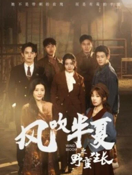 短剧《风吹半夏之野蛮生长（59集全）宋暖》夸克网盘免费在线观看-aoooo