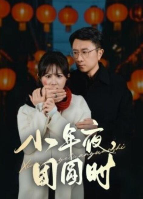 短剧《小年夜，团圆时（小年夜万家灯火没有我）35集全》夸克网盘免费在线观看-aoooo
