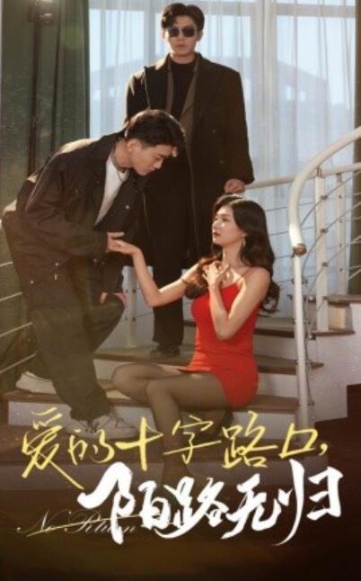 短剧《爱的十字路口陌路无归（35集全）张北淅&程美华》夸克网盘免费在线观看-aoooo
