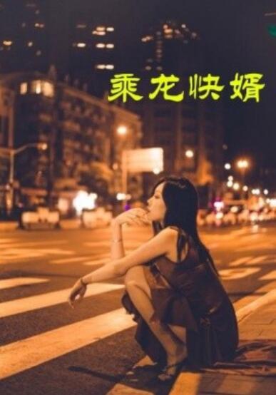 短剧《乘龙快婿（1-30集）》全集夸克网盘免费在线观看-aoooo