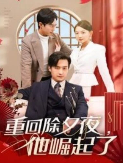 短剧《重回除夕夜，他崛起了（89集全）》夸克网盘免费在线观看-aoooo