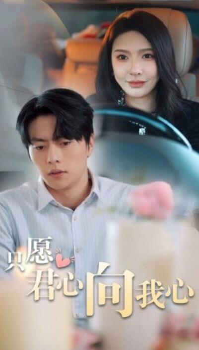 短剧《只愿君心向我心（31集全）张磊》夸克网盘免费在线观看-aoooo