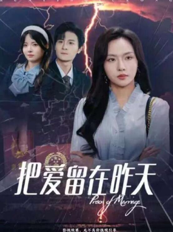 短剧《把爱留在昨天（1-29集）》全集夸克网盘免费在线观看-aoooo