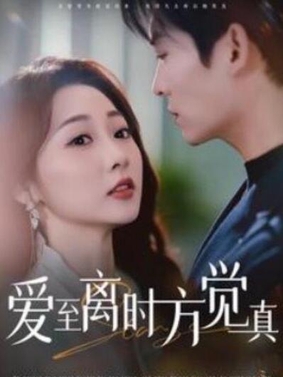 短剧《爱至离时方觉真（1-101集）》全集夸克网盘免费在线观看-aoooo