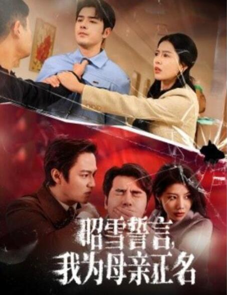 短剧《昭雪誓言，我为母亲正名（1-60集）》全集夸克网盘免费在线观看-aoooo