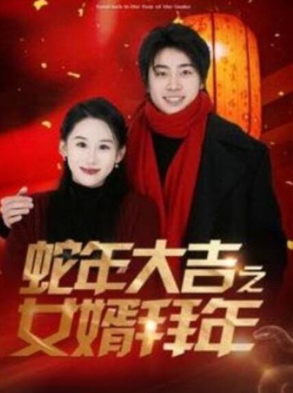 短剧《蛇年大吉之女婿拜年（88集全）皮德胜＆丁磊》夸克网盘免费在线观看-aoooo