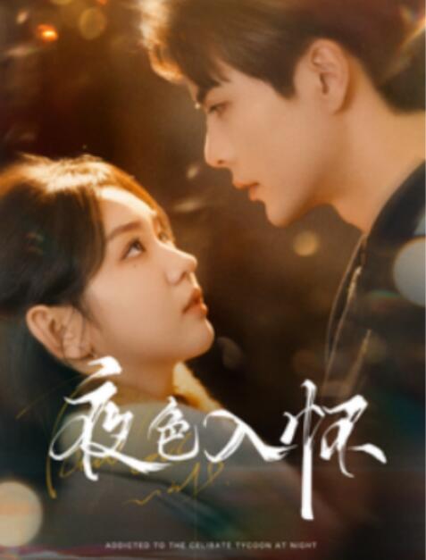 短剧《夜色入怀（66集全）王楠&李柯以》夸克网盘免费在线观看-aoooo