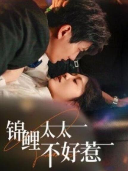 短剧《锦鲤太太不好惹（51集全）彭瑶》夸克网盘免费在线观看-aoooo