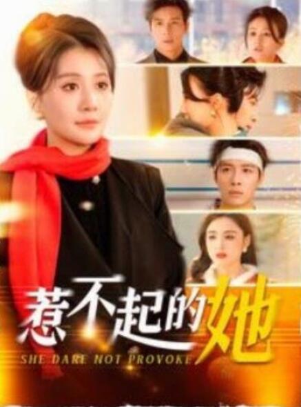 短剧《惹不起的她（106集全）屈婉琼》夸克网盘免费在线观看-aoooo