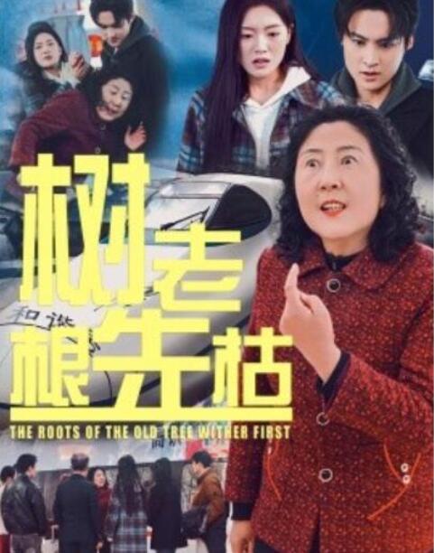 短剧《树老根先枯（1-33集）》全集夸克网盘免费在线观看-aoooo