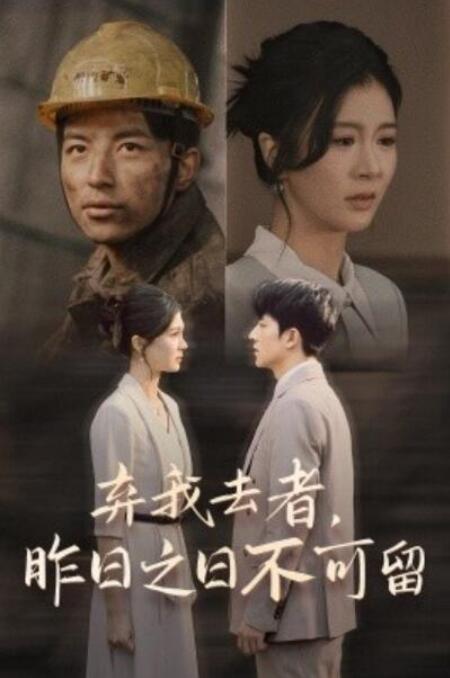 短剧《弃我去者，昨日之日不可留（38集全）程美华&吴昊》夸克网盘免费在线观看-aoooo