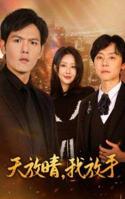 短剧《天放晴，我放手（1-35集）》全集夸克网盘免费在线观看-aoooo