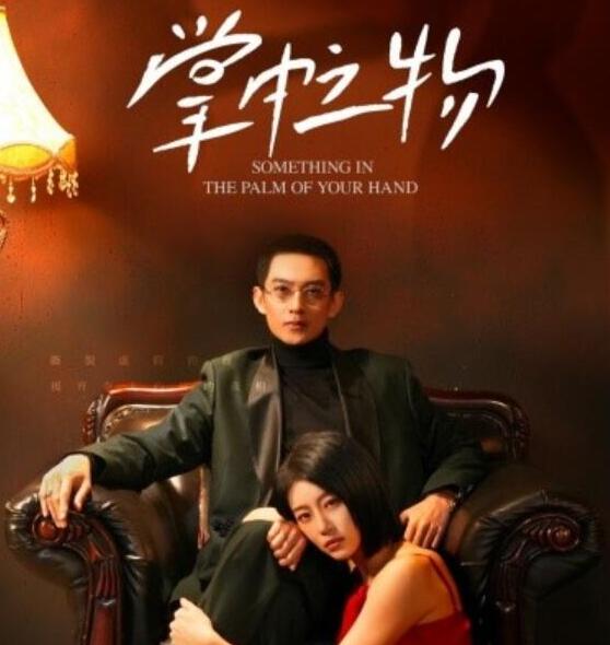 短剧《掌中之物（1-62集）》全集夸克网盘免费在线观看-aoooo