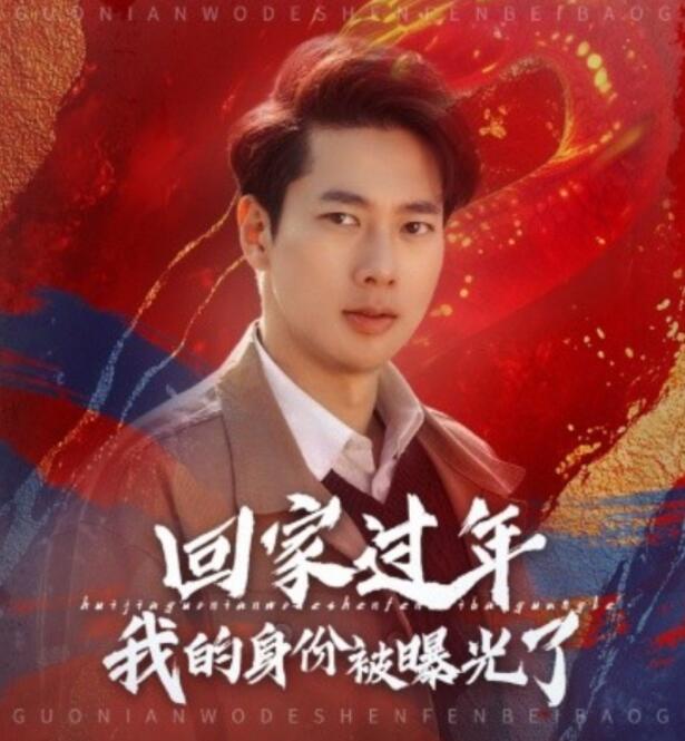 短剧《回家过年我的身份被曝光了（60集全）张子安》夸克网盘免费在线观看-aoooo