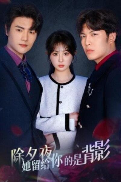 短剧《除夕夜她留给你的是背影（一厢情愿两自伤）30集全》夸克网盘免费在线观看-aoooo