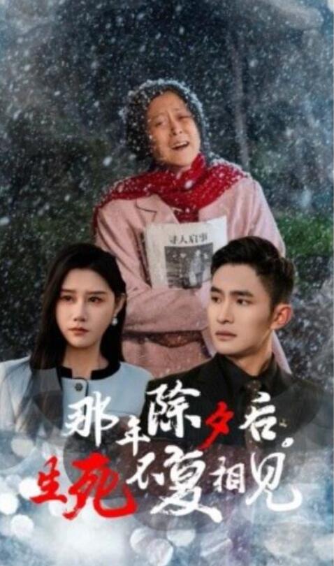短剧《那年除夕后，生死不复相见（48集全）魏昕怡》夸克网盘免费在线观看-aoooo