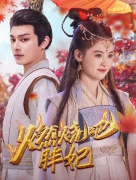 短剧《燃烧吧胖妃（66集全）柳甯&翟一莹》夸克网盘免费在线观看-aoooo