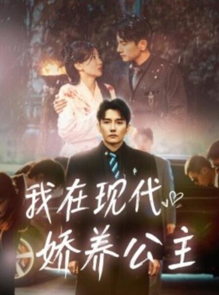 短剧《我在现代娇养公主（41集全）黄波＆苏雨桐》夸克网盘免费在线观看-aoooo