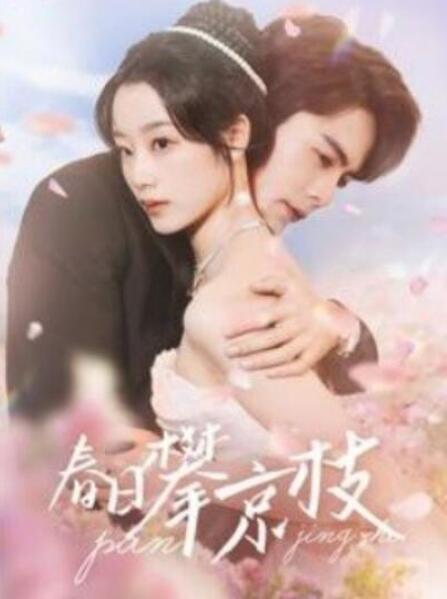 短剧《春日攀京枝（85集全）王楠&王小亿》夸克网盘免费在线观看-aoooo
