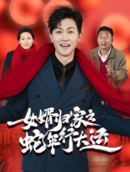 短剧《女婿归家之蛇年行大运（蛇年已至游子当归）65集全》夸克网盘免费在线观看-aoooo