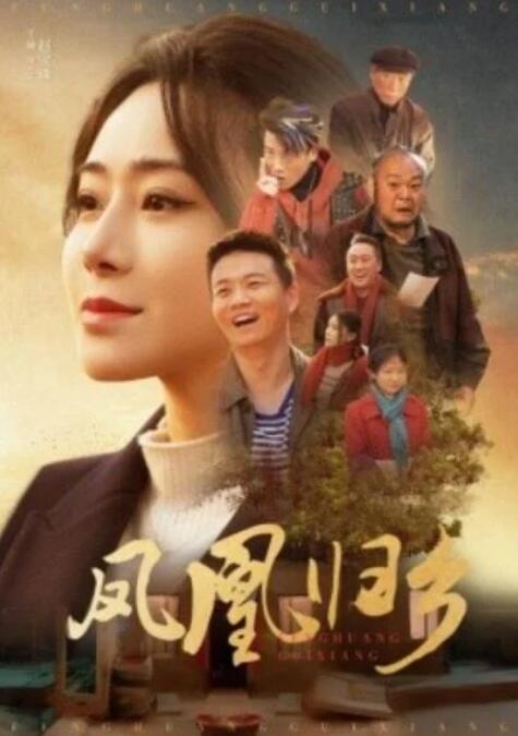 短剧《凤凰归乡（33集）》全集夸克网盘免费在线观看-aoooo