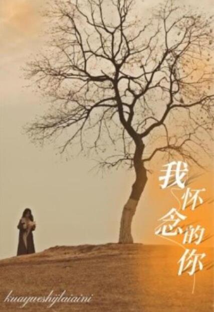 短剧《我怀念的你（跨越时间来爱你）38集全》夸克网盘免费在线观看-aoooo