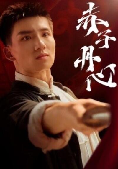 短剧《赤子丹心（1-48集）》全集夸克网盘免费在线观看-aoooo