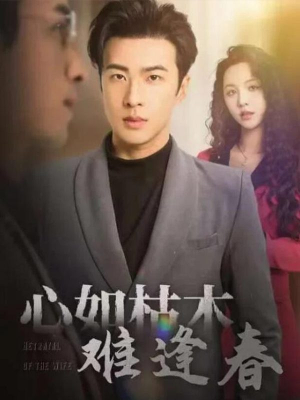 短剧《心如枯木难逢春(30集全)孔奇力》夸克网盘免费在线观看-aoooo
