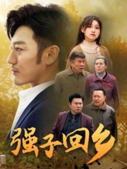 短剧《强子回乡（1-35集）》全集夸克网盘免费在线观看-aoooo