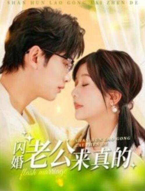 短剧《闪婚老公来真的（1-100集）》全集夸克网盘免费在线观看-aoooo
